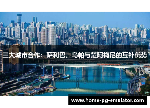 三大城市合作：萨利巴、乌帕与楚阿梅尼的互补优势
