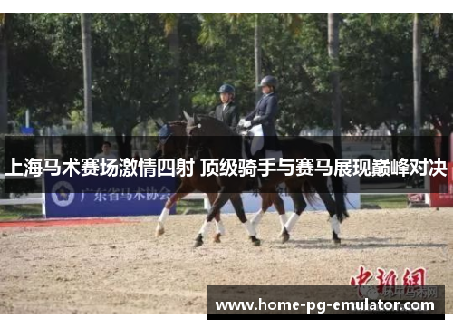 上海马术赛场激情四射 顶级骑手与赛马展现巅峰对决
