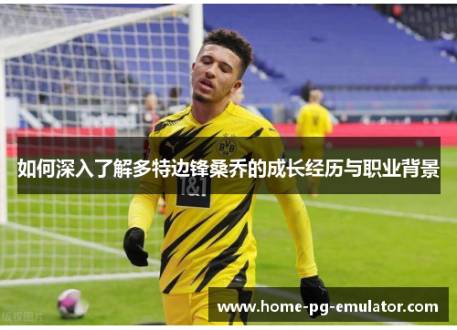 如何深入了解多特边锋桑乔的成长经历与职业背景