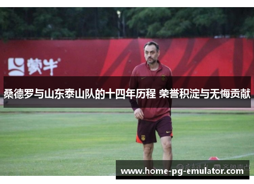 桑德罗与山东泰山队的十四年历程 荣誉积淀与无悔贡献