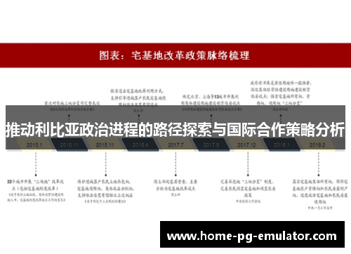 推动利比亚政治进程的路径探索与国际合作策略分析