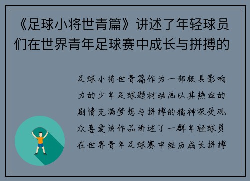 《足球小将世青篇》讲述了年轻球员们在世界青年足球赛中成长与拼搏的热血故事
