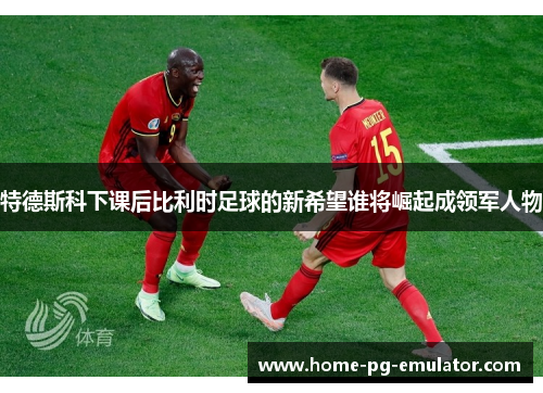 特德斯科下课后比利时足球的新希望谁将崛起成领军人物