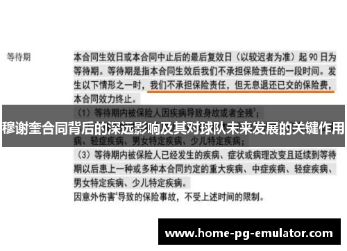 穆谢奎合同背后的深远影响及其对球队未来发展的关键作用