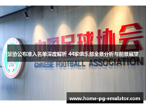 足协公布准入名单深度解析 44家俱乐部全景分析与前景展望