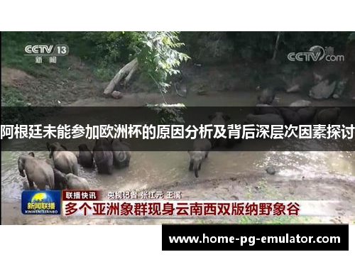 阿根廷未能参加欧洲杯的原因分析及背后深层次因素探讨