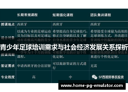 青少年足球培训需求与社会经济发展关系探析