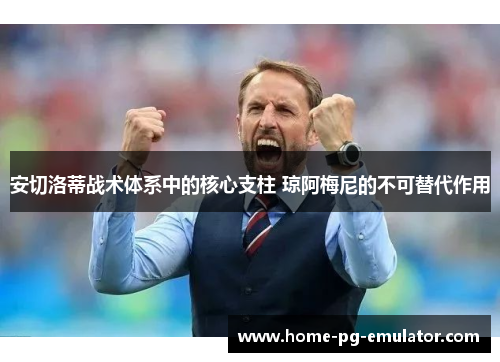 安切洛蒂战术体系中的核心支柱 琼阿梅尼的不可替代作用 安切洛蒂战术体系中的核心支柱 琼阿梅尼的不可替代作用