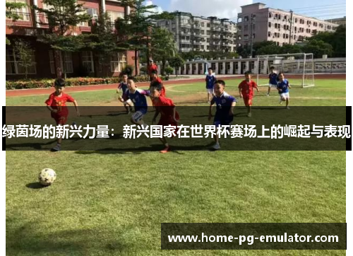 绿茵场的新兴力量：新兴国家在世界杯赛场上的崛起与表现
