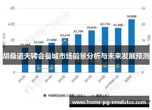 胡桑诺夫转会曼城市场前景分析与未来发展预测