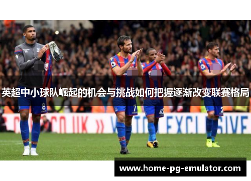 英超中小球队崛起的机会与挑战如何把握逐渐改变联赛格局