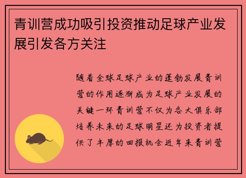青训营成功吸引投资推动足球产业发展引发各方关注 青训营成功吸引投资推动足球产业发展引发各方关注