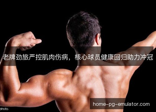 老牌劲旅严控肌肉伤病，核心球员健康回归助力冲冠