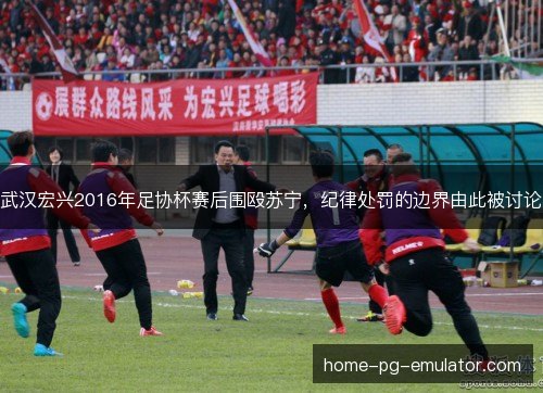 武汉宏兴2016年足协杯赛后围殴苏宁,纪律处罚的边界由此被讨论 武汉宏兴2016年足协杯赛后围殴苏宁,纪律处罚的边界由此被讨论